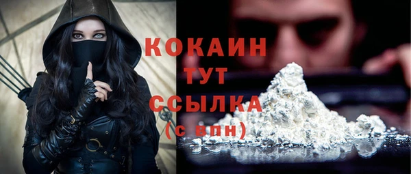 стафф Карпинск