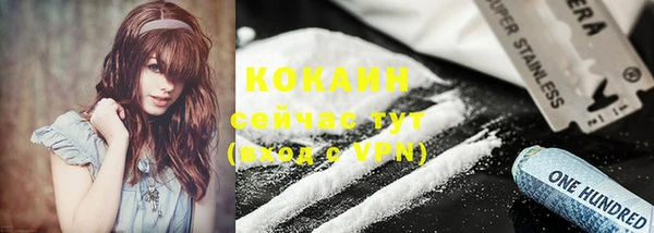 стафф Карпинск