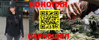 Альфа ПВП Заволжье