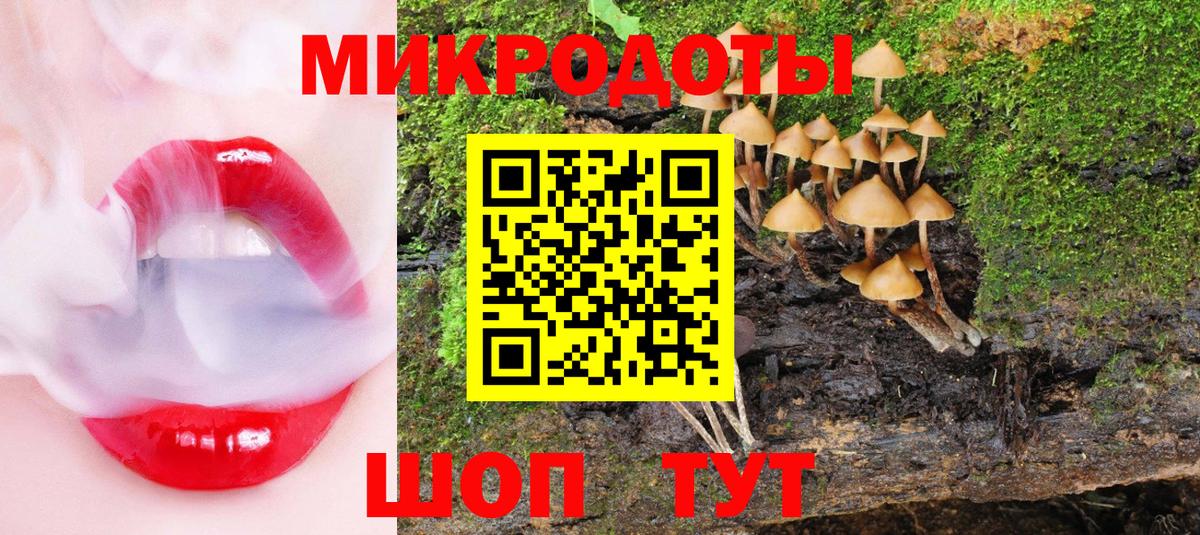 Галлюциногенные грибы Cubensis Мелеуз