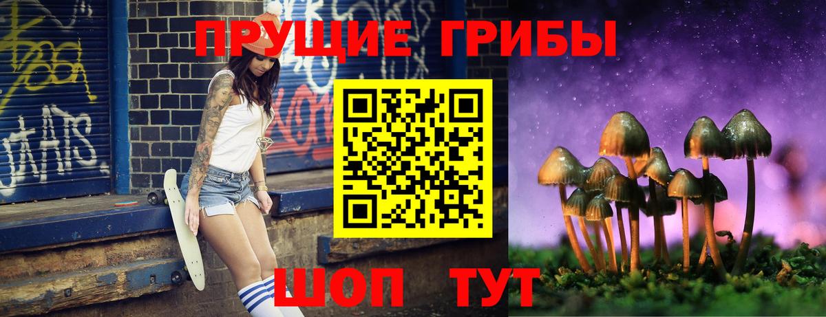 Псилоцибиновые грибы Psilocybine cubensis Мелеуз