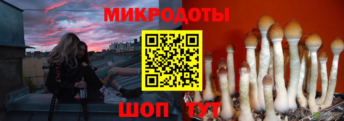 что такое   Мелеуз  Псилоцибиновые грибы мицелий 